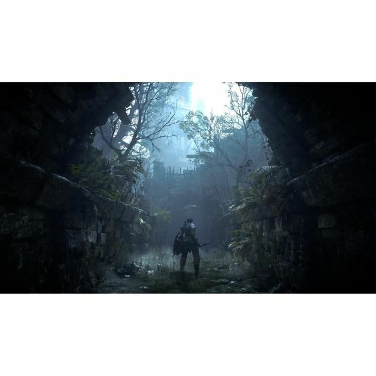 Sony Playstation 5 Video Game Sony Demon's Souls