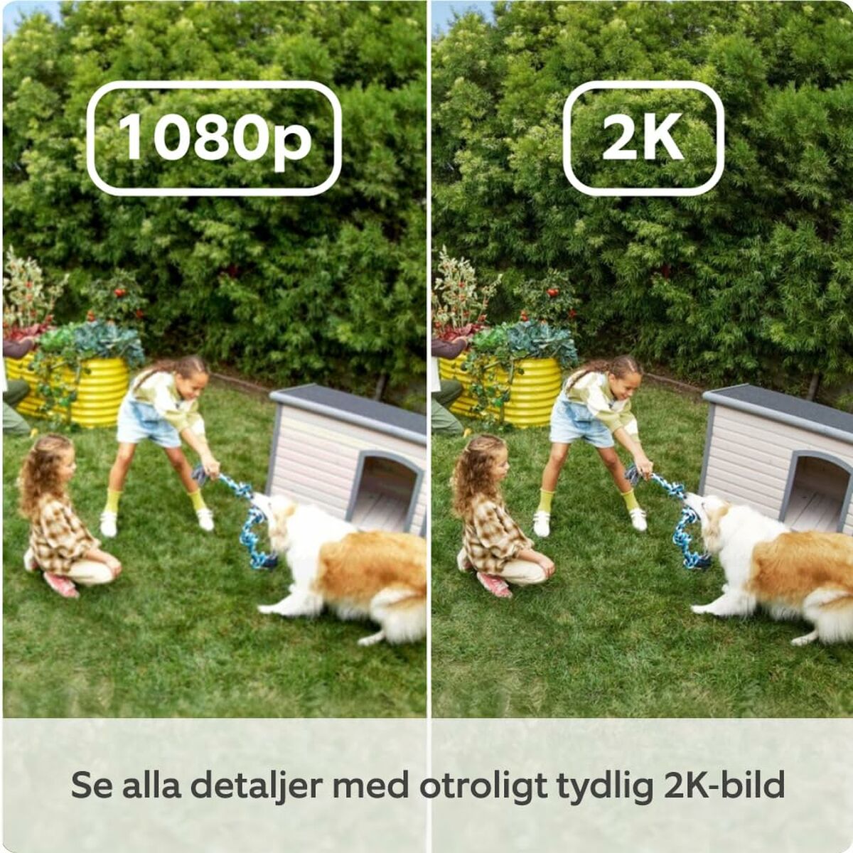 Amazon Surveillance Camcorder Amazon B0D23Y1N3Y