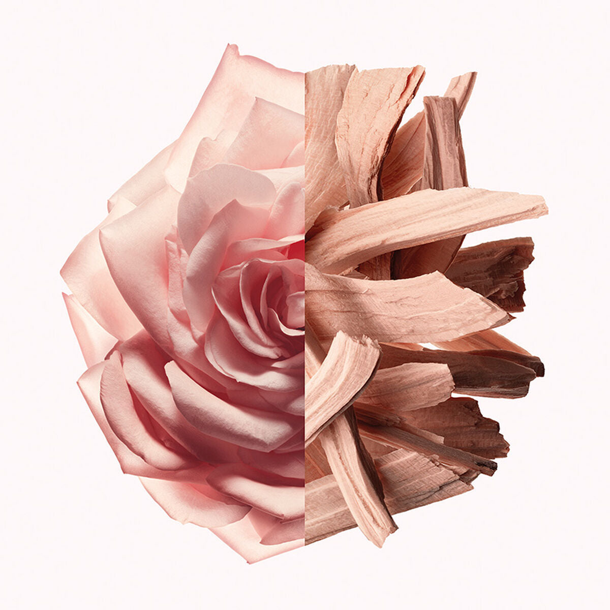 V2HB9A95AB2E350165859375B46E5145926R7785830P7