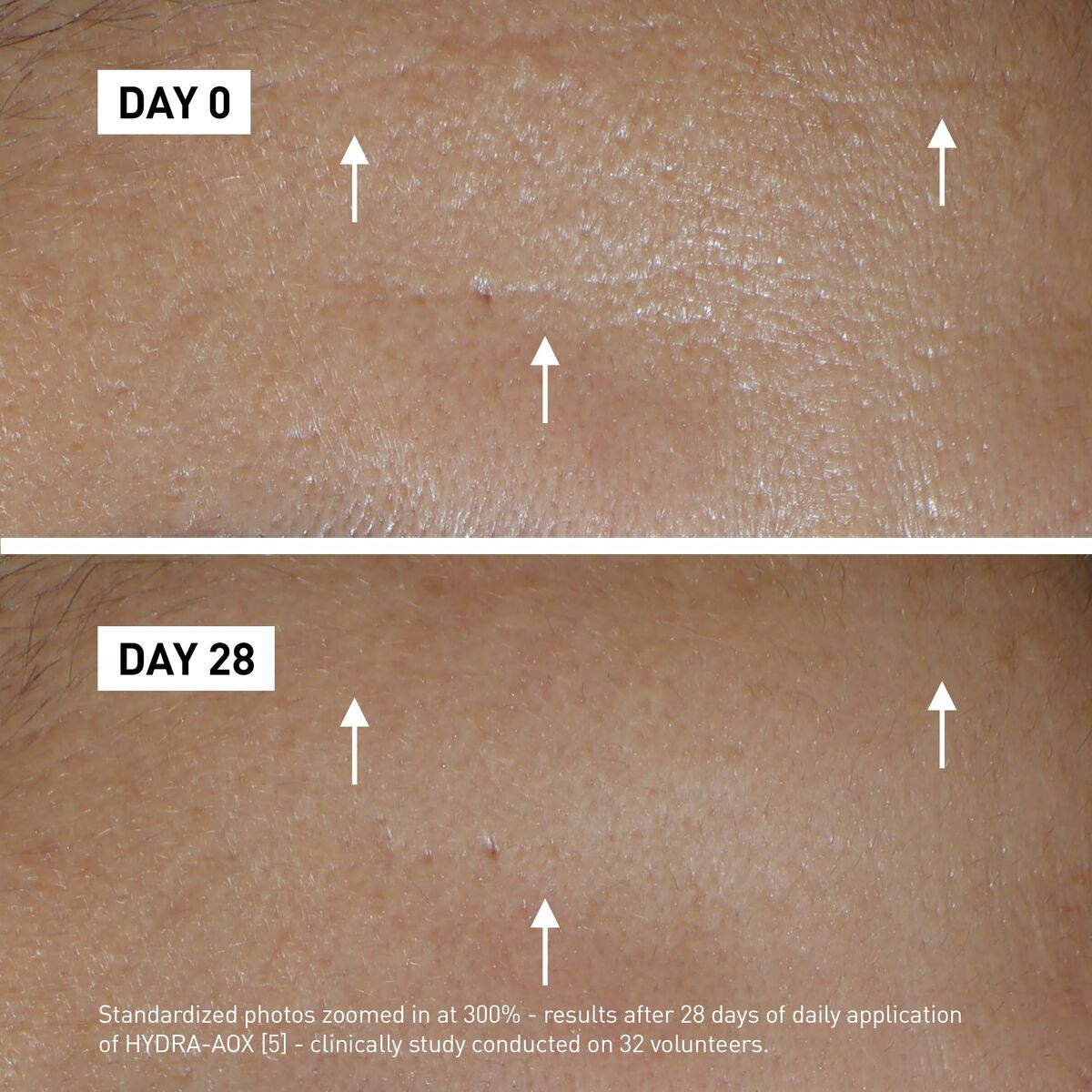 V5HBAD3F3C7443398A528917F3242724C6FR5806135P4