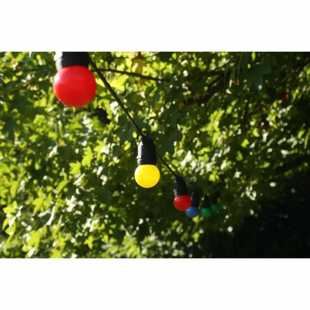 V4H8A97412CEBD38C9701869D08E137B911R7327697P5