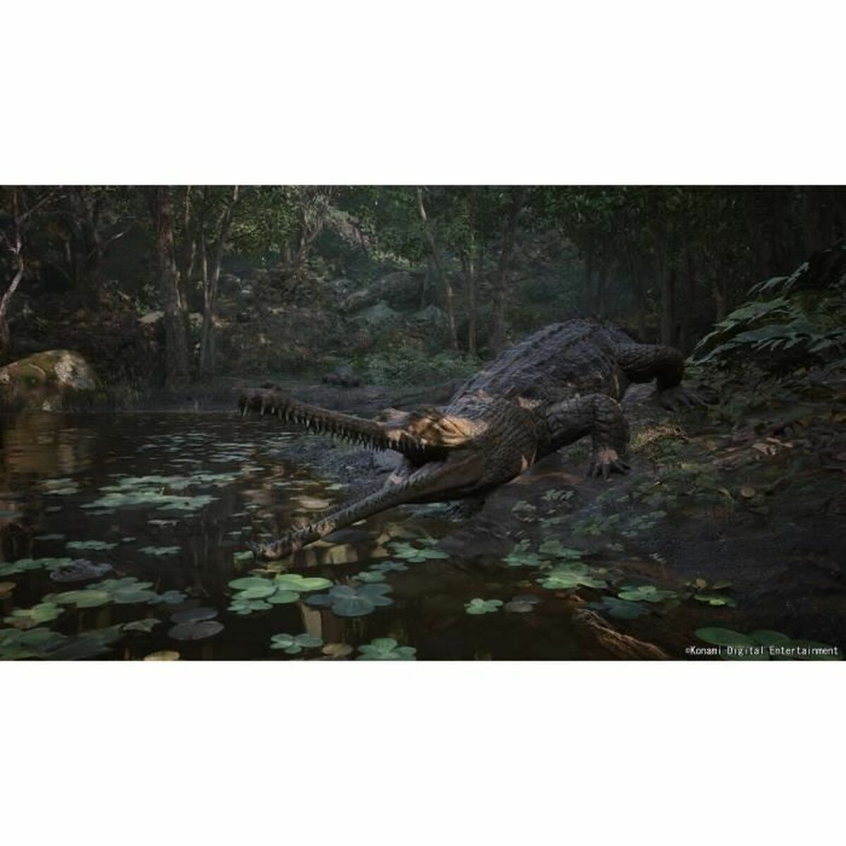 V4H36D6642095E7C12D1F32305A28246865R7049410P6