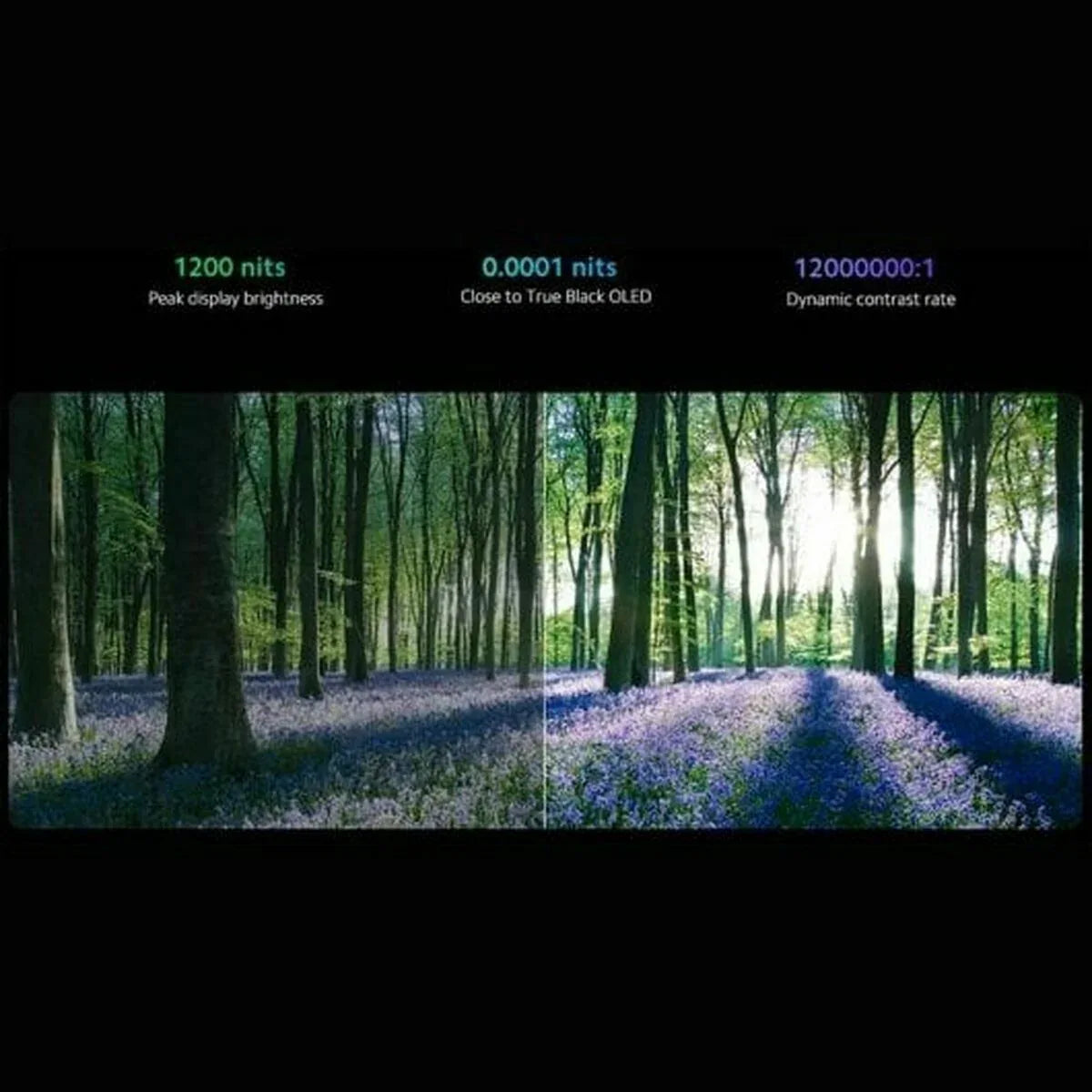 V7H29B11941D57BD0BBC76FDEB5EEDFF25FR6578717P8