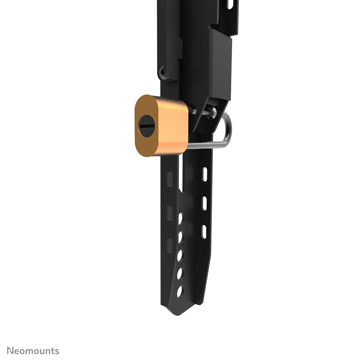 V6H296474E36B76A2E931B4184926FB3B94R5137759P5